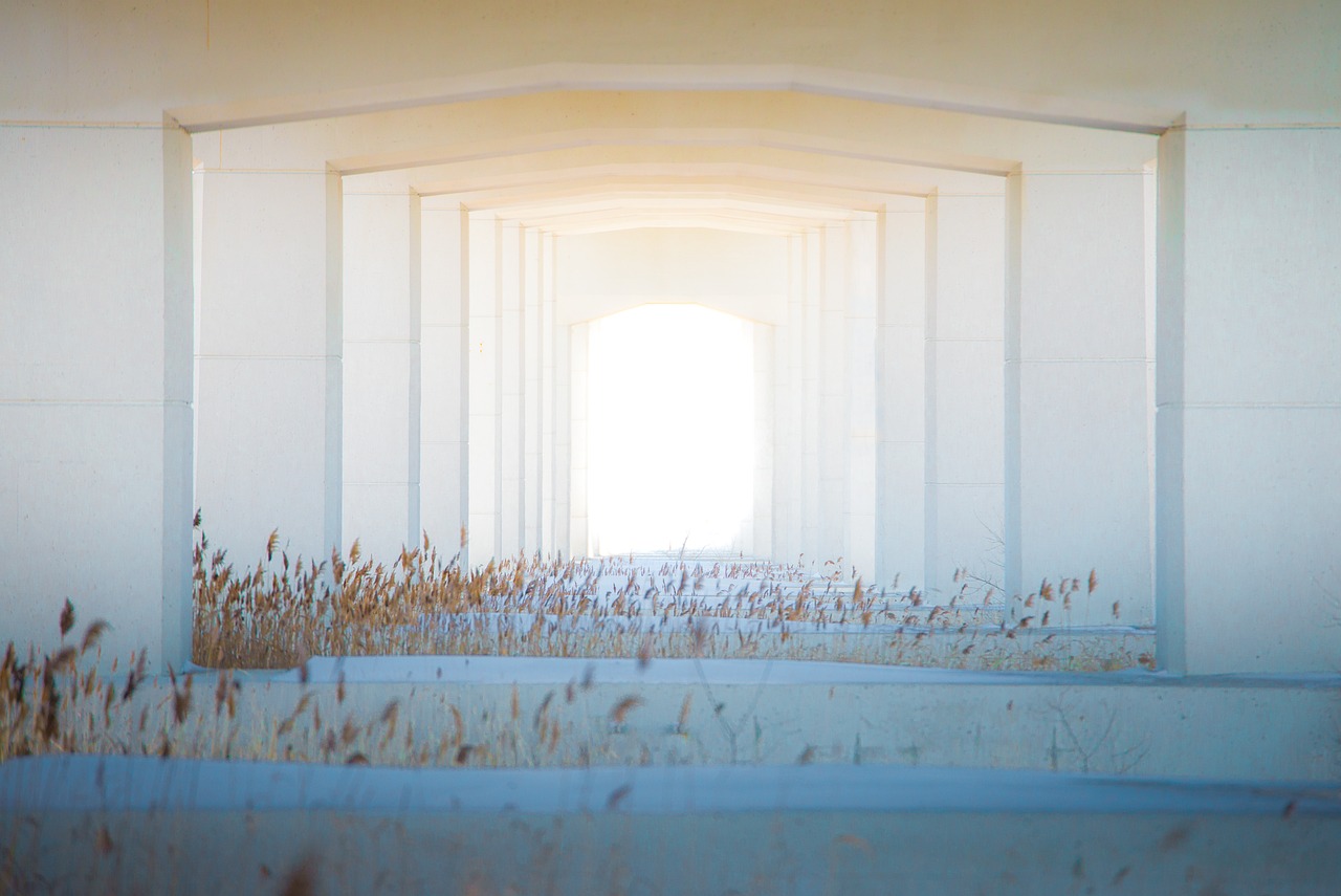 soccer lineup tunnel